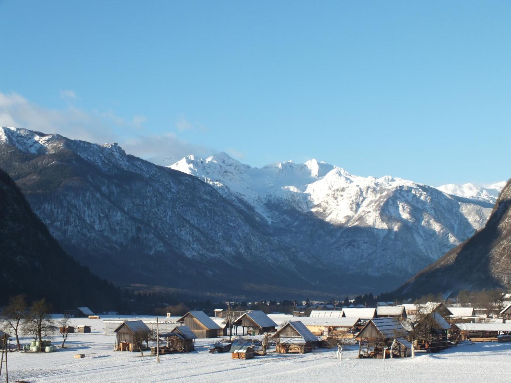 Apartment Tina Bohinj Pokój zdjęcie