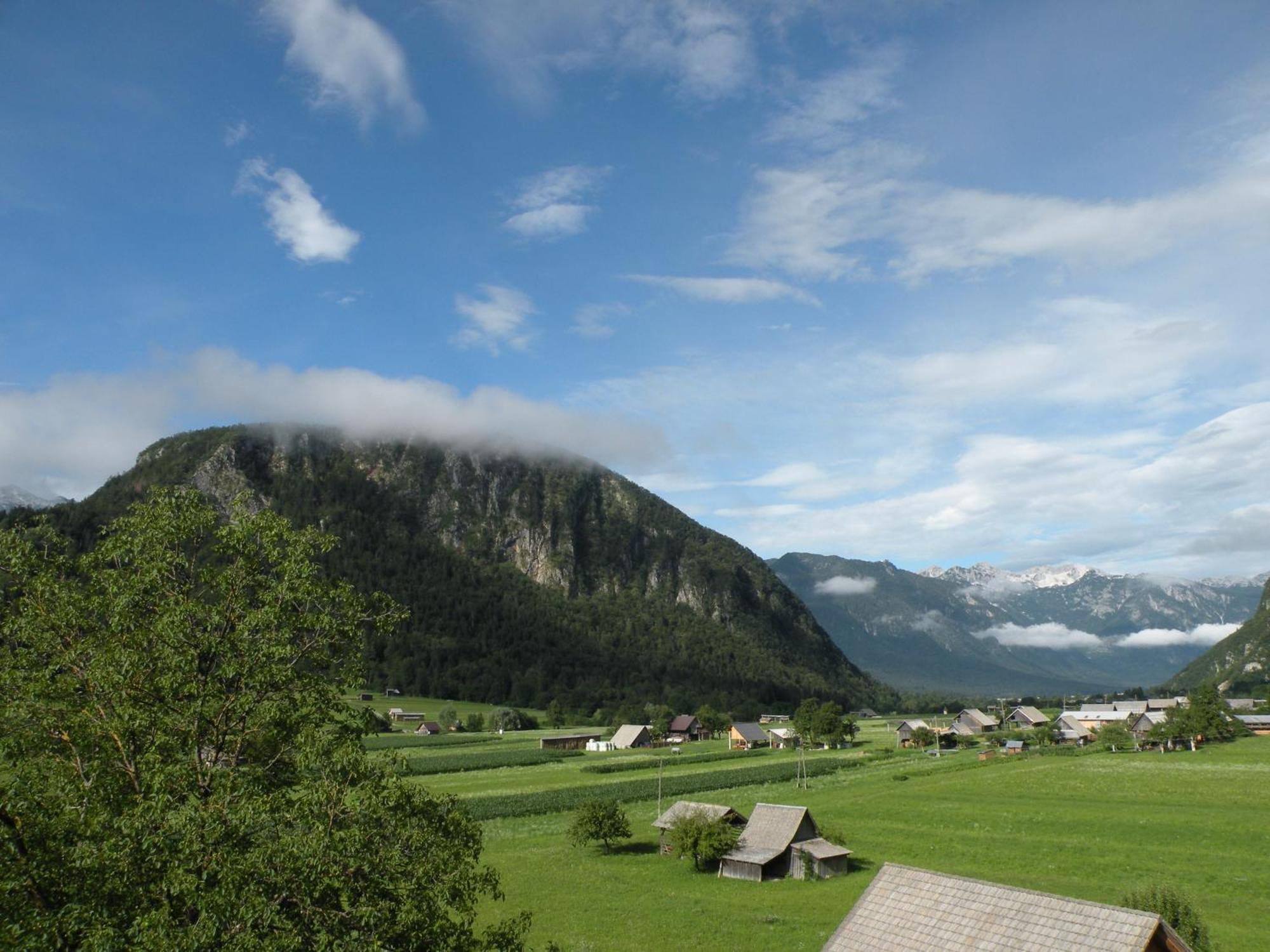 Apartment Tina Bohinj Pokój zdjęcie